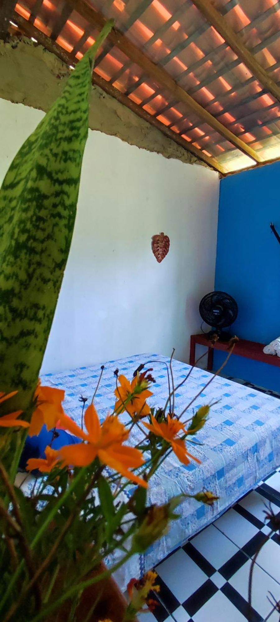 Eco Hostel Lunar Soure Eksteriør billede